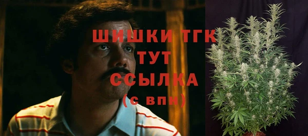 бошки Вязьма