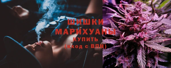 бошки Вязьма