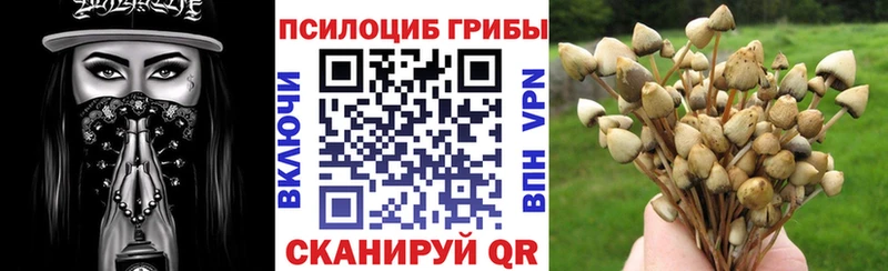 Псилоцибиновые грибы MAGIC MUSHROOMS  Муром 
