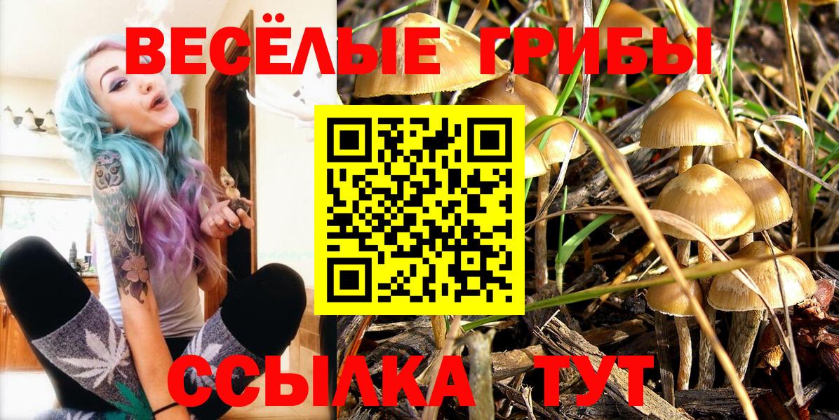 Муром  Псилоцибиновые грибы ЛСД  Вход с VPN 
