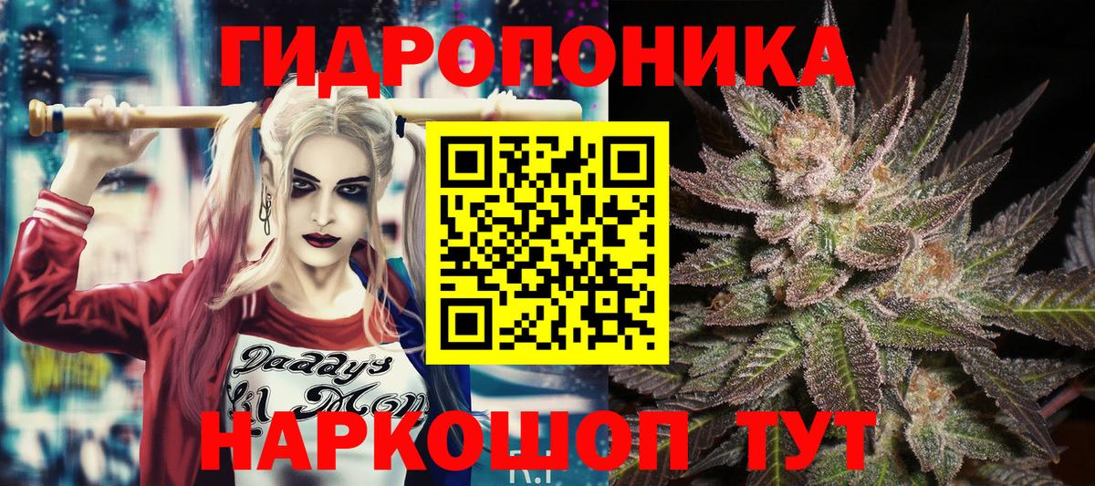 Муром  Каннабис LSD WEED  Бошки Шишки индика  Каннабис семена  Вход с VPN  МАРИХУАНА семена 